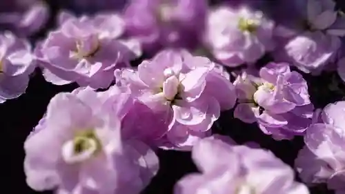 阿邪訶根神社(福島県)