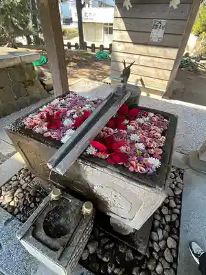 上野総社神社(群馬県)