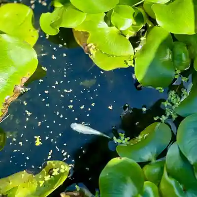 伊勢の国 四天王寺(三重県)