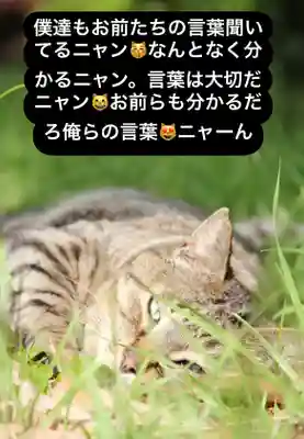 専念寺(大阪府)