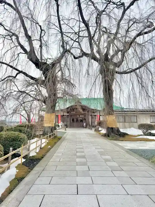 身照寺の{uncategorized: "未分類", other: "その他", undefined: "問題あり", building: "その他建物", grave: "お墓", sacred_gate: "鳥居", guardian: "狛犬", statue: "像", buddha: "仏像", history: "歴史", nature: "自然", garden: "庭園", animal: "動物", pagoda: "塔", temizu: "手水舎", mountain_gate: "山門・神門", sanctuary: "本殿・本堂", subordinate: "末社・摂社", art: "芸術", scenery: "景色", jizo: "地蔵", ema: "絵馬", goshuin: "御朱印", omikuji: "おみくじ", items: "授与品その他", amulet: "お守り", goshuincho: "御朱印帳", eats: "食事", festival: "お祭り", votive_dance: "神楽", shichigosan: "七五三参", wedding: "結婚式", experience: "体験その他", initially: "初詣", around: "周辺", anti_infection: "感染症対策"}
