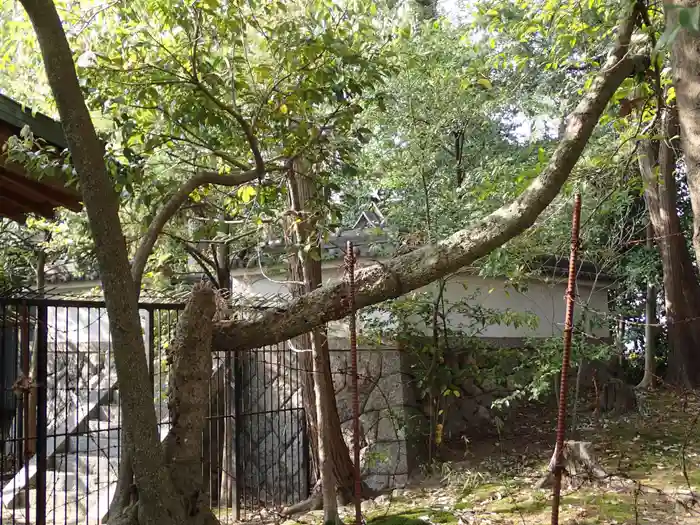 天照御魂神社の建物その他