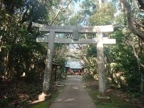 渡海神社の鳥居