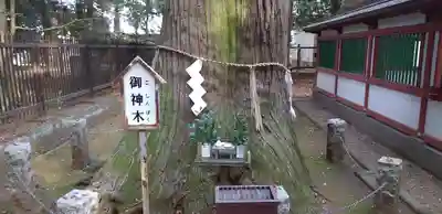 一言主神社(茨城県)