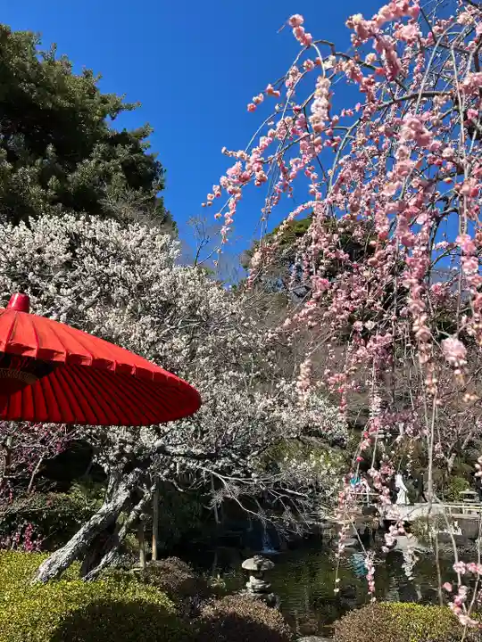 長谷寺(神奈川県)