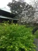 英勝寺(神奈川県)