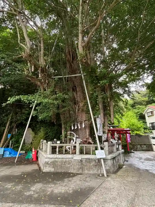 海南神社(神奈川県)