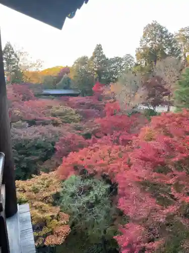 東福禅寺（東福寺）(京都府)