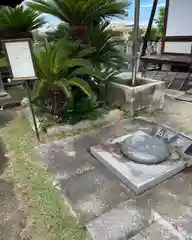 龍渕寺の建物その他