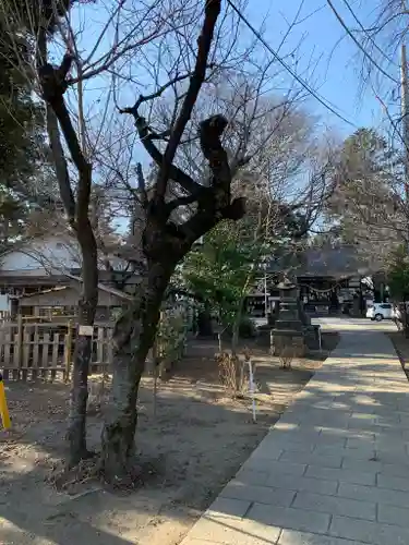 比呂佐和神社のその他建物