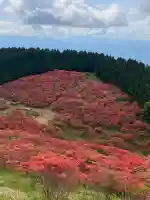 葛城山神社の{uncategorized: "未分類", other: "その他", undefined: "問題あり", building: "その他建物", grave: "お墓", sacred_gate: "鳥居", guardian: "狛犬", statue: "像", buddha: "仏像", history: "歴史", nature: "自然", garden: "庭園", animal: "動物", pagoda: "塔", temizu: "手水舎", mountain_gate: "山門・神門", sanctuary: "本殿・本堂", subordinate: "末社・摂社", art: "芸術", scenery: "景色", jizo: "地蔵", ema: "絵馬", goshuin: "御朱印", omikuji: "おみくじ", items: "授与品その他", amulet: "お守り", goshuincho: "御朱印帳", eats: "食事", festival: "お祭り", votive_dance: "神楽", shichigosan: "七五三参", wedding: "結婚式", experience: "体験その他", initially: "初詣", around: "周辺", anti_infection: "感染症対策"}