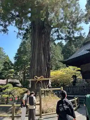 北口本宮冨士浅間神社(山梨県)