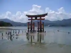 厳島神社(広島県)