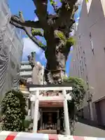 白光大神 (大阪府)