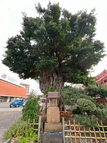 慈眼院(沖縄県)