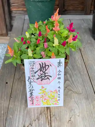 妙蓮寺(神奈川県)