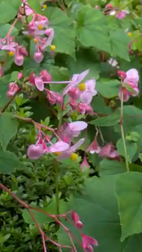 寂光院(京都府)