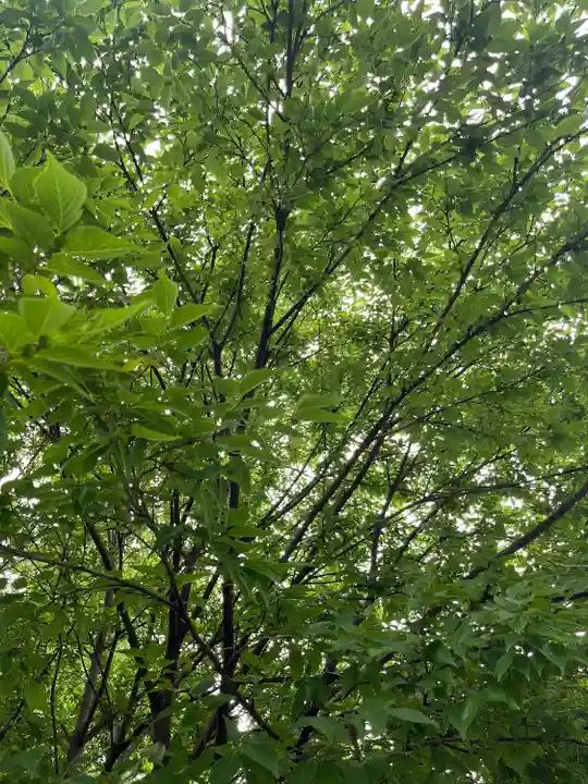 和樂備神社(埼玉県)