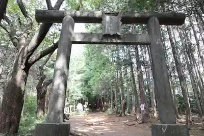 金刀比羅神社の鳥居