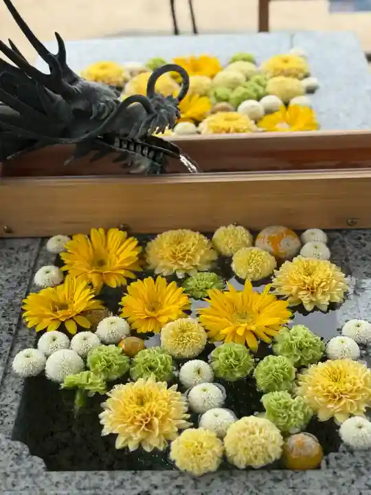 川越八幡宮の{uncategorized: "未分類", other: "その他", undefined: "問題あり", building: "その他建物", grave: "お墓", sacred_gate: "鳥居", guardian: "狛犬", statue: "像", buddha: "仏像", history: "歴史", nature: "自然", garden: "庭園", animal: "動物", pagoda: "塔", temizu: "手水舎", mountain_gate: "山門・神門", sanctuary: "本殿・本堂", subordinate: "末社・摂社", art: "芸術", scenery: "景色", jizo: "地蔵", ema: "絵馬", goshuin: "御朱印", omikuji: "おみくじ", items: "授与品その他", amulet: "お守り", goshuincho: "御朱印帳", eats: "食事", festival: "お祭り", votive_dance: "神楽", shichigosan: "七五三参", wedding: "結婚式", experience: "体験その他", initially: "初詣", around: "周辺", anti_infection: "感染症対策"}