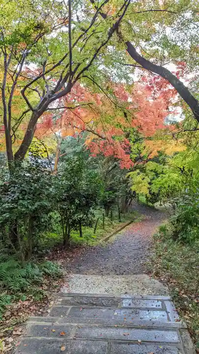 十輪寺(京都府)