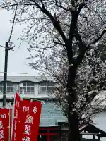 蔵屋敷稲荷神社の{uncategorized: "未分類", other: "その他", undefined: "問題あり", building: "その他建物", grave: "お墓", sacred_gate: "鳥居", guardian: "狛犬", statue: "像", buddha: "仏像", history: "歴史", nature: "自然", garden: "庭園", animal: "動物", pagoda: "塔", temizu: "手水舎", mountain_gate: "山門・神門", sanctuary: "本殿・本堂", subordinate: "末社・摂社", art: "芸術", scenery: "景色", jizo: "地蔵", ema: "絵馬", goshuin: "御朱印", omikuji: "おみくじ", items: "授与品その他", amulet: "お守り", goshuincho: "御朱印帳", eats: "食事", festival: "お祭り", votive_dance: "神楽", shichigosan: "七五三参", wedding: "結婚式", experience: "体験その他", initially: "初詣", around: "周辺", anti_infection: "感染症対策"}