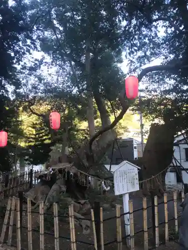 草薙神社の自然