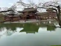 平等院の{uncategorized: "未分類", other: "その他", undefined: "問題あり", building: "その他建物", grave: "お墓", sacred_gate: "鳥居", guardian: "狛犬", statue: "像", buddha: "仏像", history: "歴史", nature: "自然", garden: "庭園", animal: "動物", pagoda: "塔", temizu: "手水舎", mountain_gate: "山門・神門", sanctuary: "本殿・本堂", subordinate: "末社・摂社", art: "芸術", scenery: "景色", jizo: "地蔵", ema: "絵馬", goshuin: "御朱印", omikuji: "おみくじ", items: "授与品その他", amulet: "お守り", goshuincho: "御朱印帳", eats: "食事", festival: "お祭り", votive_dance: "神楽", shichigosan: "七五三参", wedding: "結婚式", experience: "体験その他", initially: "初詣", around: "周辺", anti_infection: "感染症対策"}