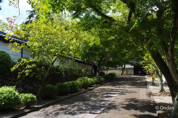 金剛寺(大阪府)