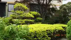 東福寺(埼玉県)