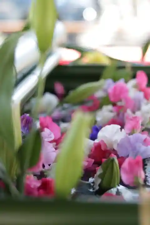 草加神社(埼玉県)
