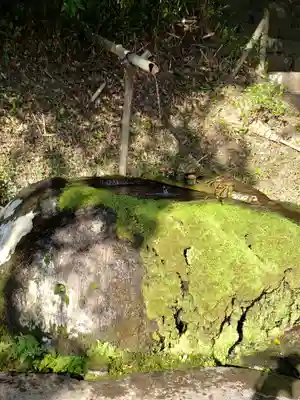 神魂神社の手水舎