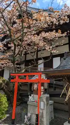 清浄華院(京都府)
