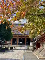 壬生寺の本殿・本堂