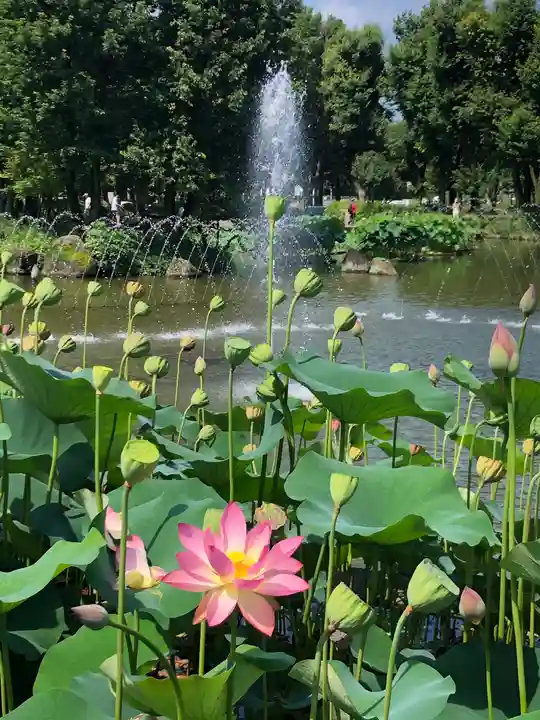 大國魂神社の周辺