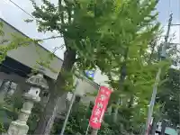 阿邪訶根神社(福島県)