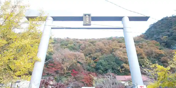 桃太郎神社(栗栖)の鳥居