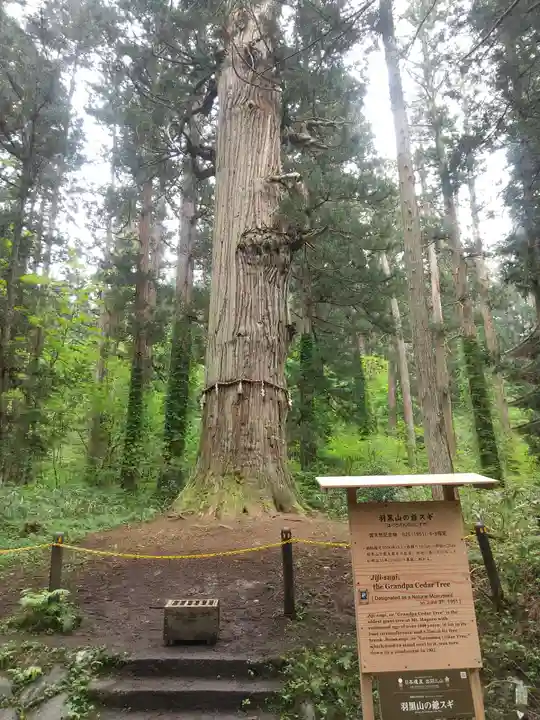 羽黒山五重塔(出羽三山神社)(山形県)