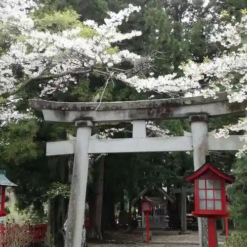 志和古稲荷神社の鳥居