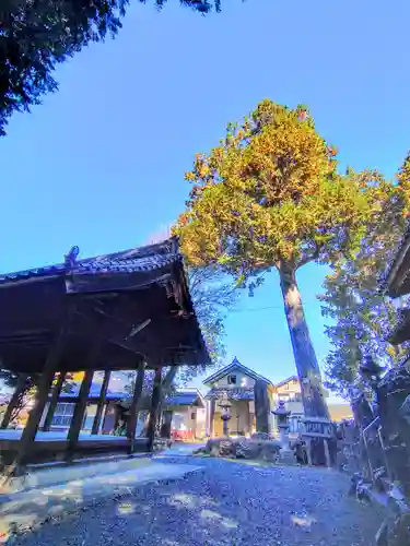 熊野社（塔野地）のその他建物