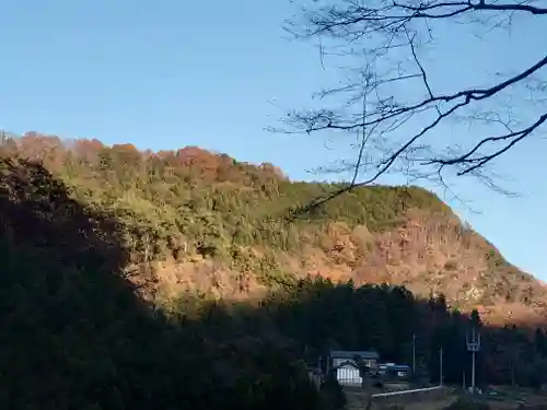 日野沢大神社(埼玉県)