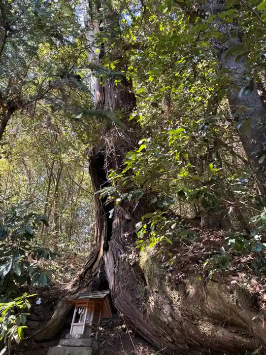 飯田八幡神社(埼玉県)