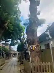 阿倍王子神社(大阪府)