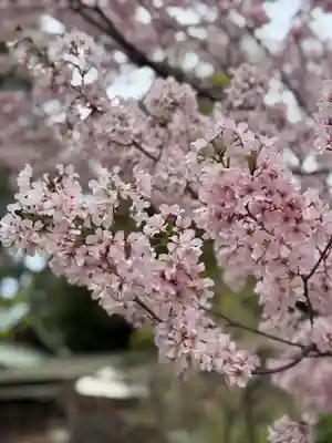 八雲氷川神社(東京都)