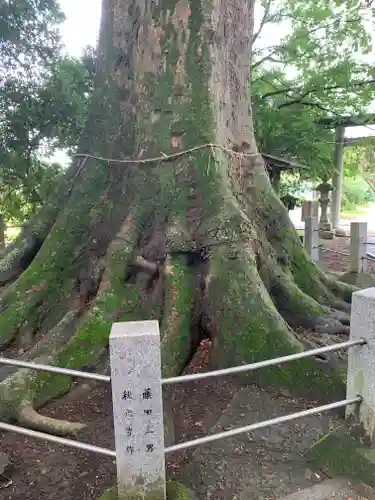 向田神社(栃木県)
