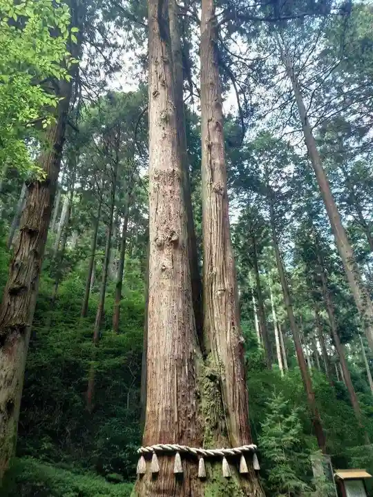 御岩神社の自然