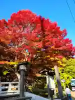 土津神社|こどもと出世の神さまの自然