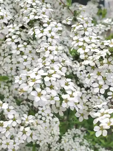 阿邪訶根神社(福島県)
