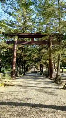 出雲大社(島根県)