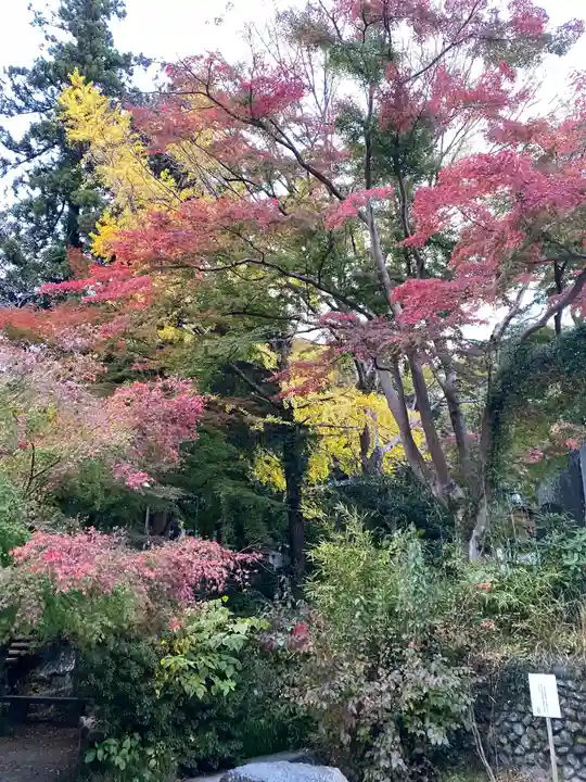 高尾山薬王院の庭園